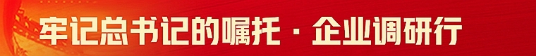 牢記總書記的囑托 企業(yè)調(diào)研行